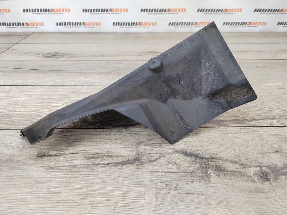 Брызговик, 1000 рублей, Москва