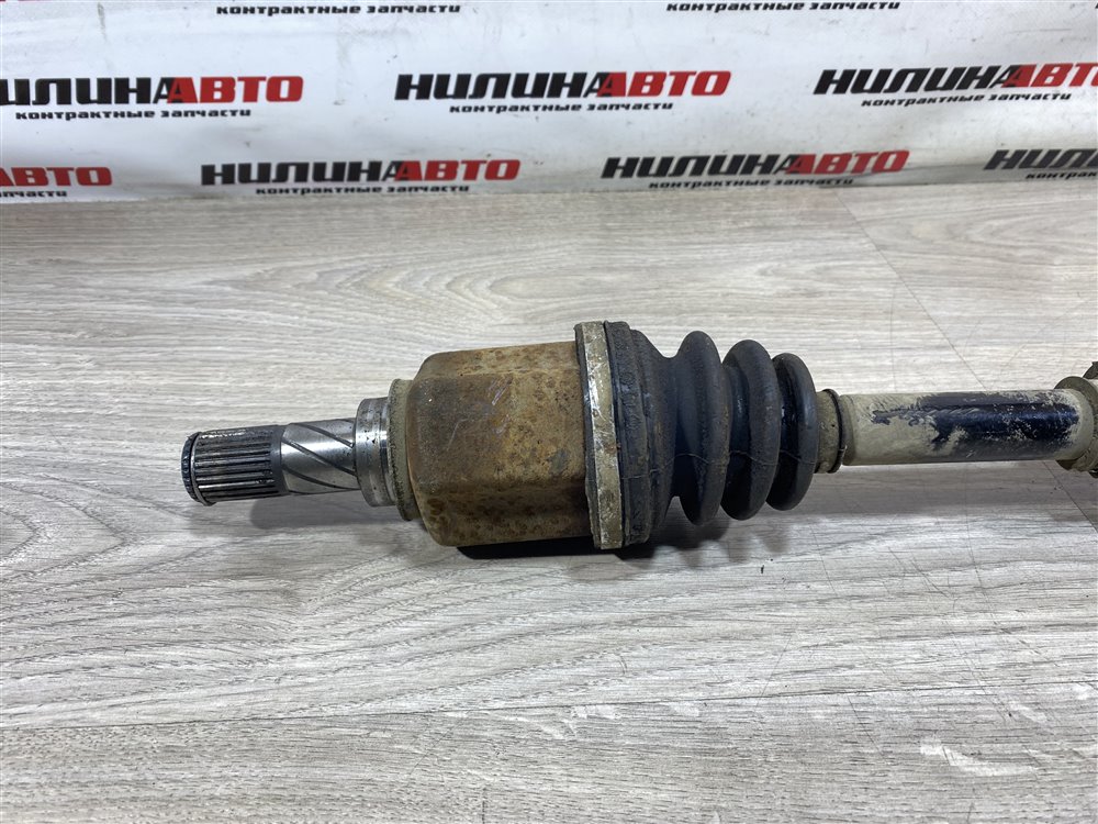 Привод, 2000 рублей, Севастополь