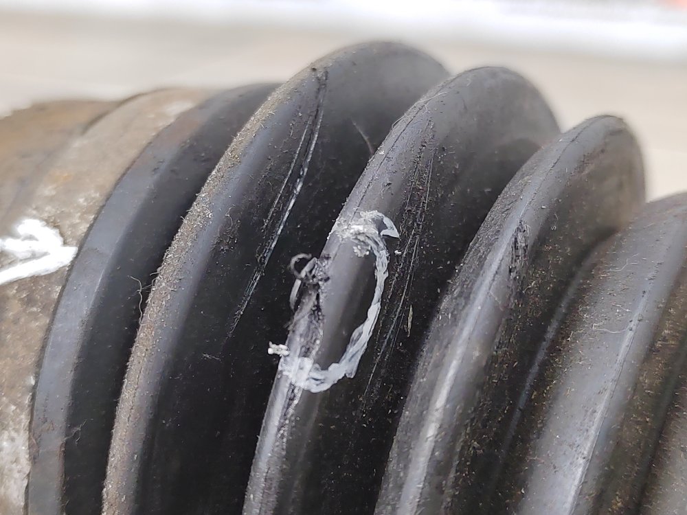 Привод, 3000 рублей, Москва