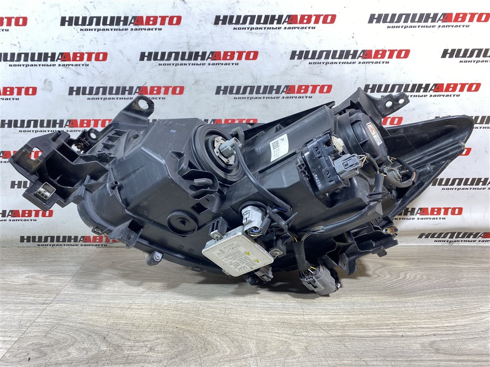 Фара ксенон XENON, 50000 рублей, Севастополь