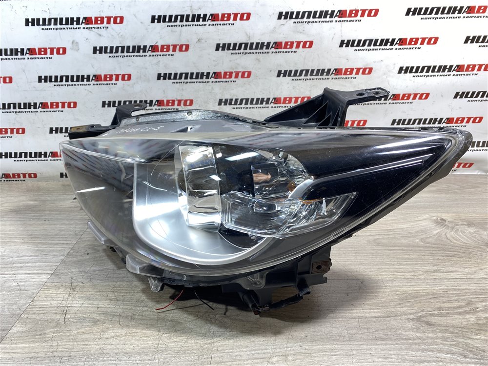 Фара ксенон XENON, 50000 рублей, Севастополь