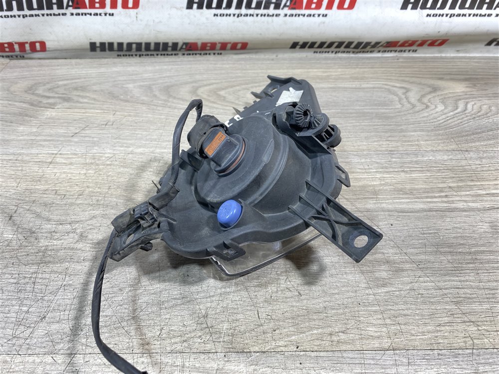 ПТФ, 3000 рублей, Севастополь