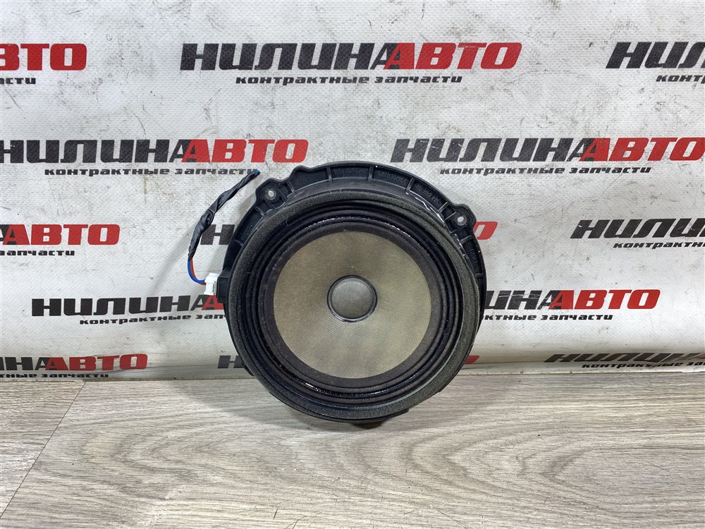 Динамик, 1000 рублей, Севастополь