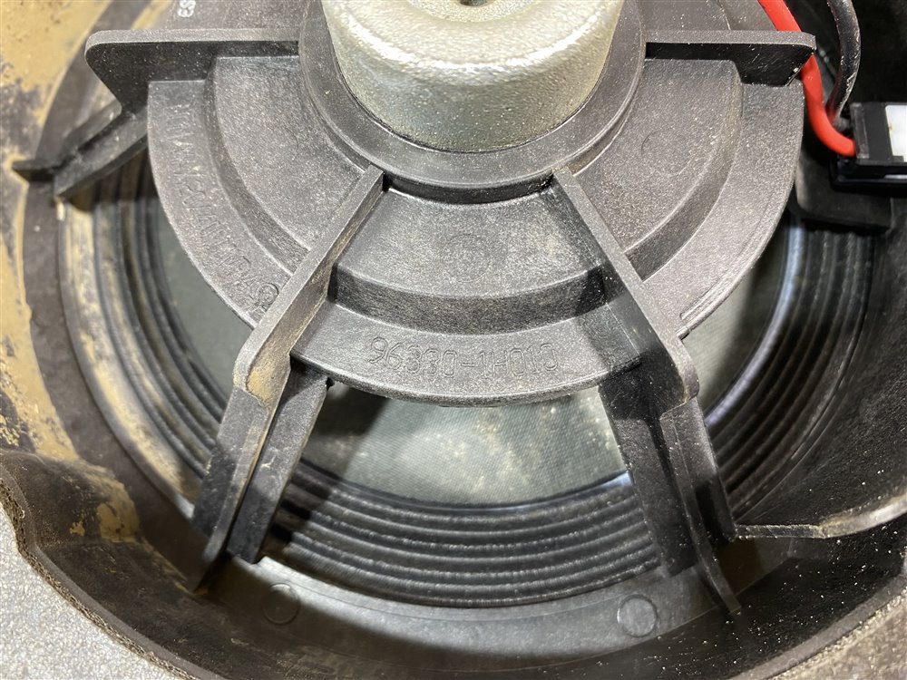 Динамик, 1000 рублей, Севастополь