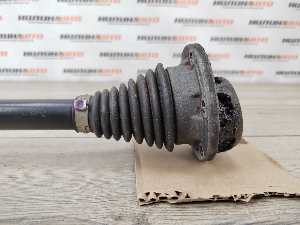 Привод, 1000 рублей, Москва