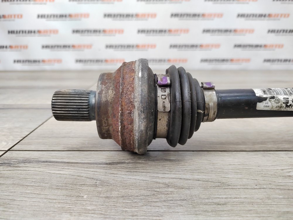 Привод, 1000 рублей, Москва