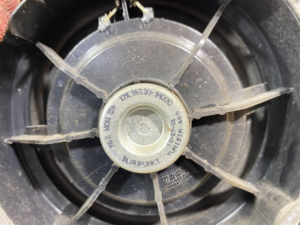 Динамик, 1000 рублей, Севастополь