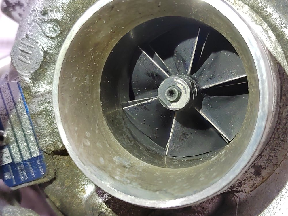 Турбина, 15800 рублей, Москва