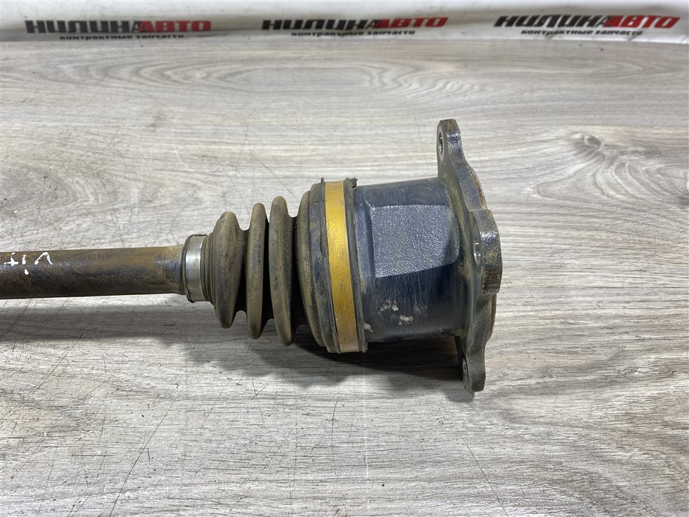 Привод, 8000 рублей, Севастополь