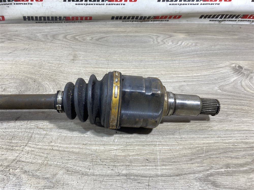 Привод, 10000 рублей, Севастополь