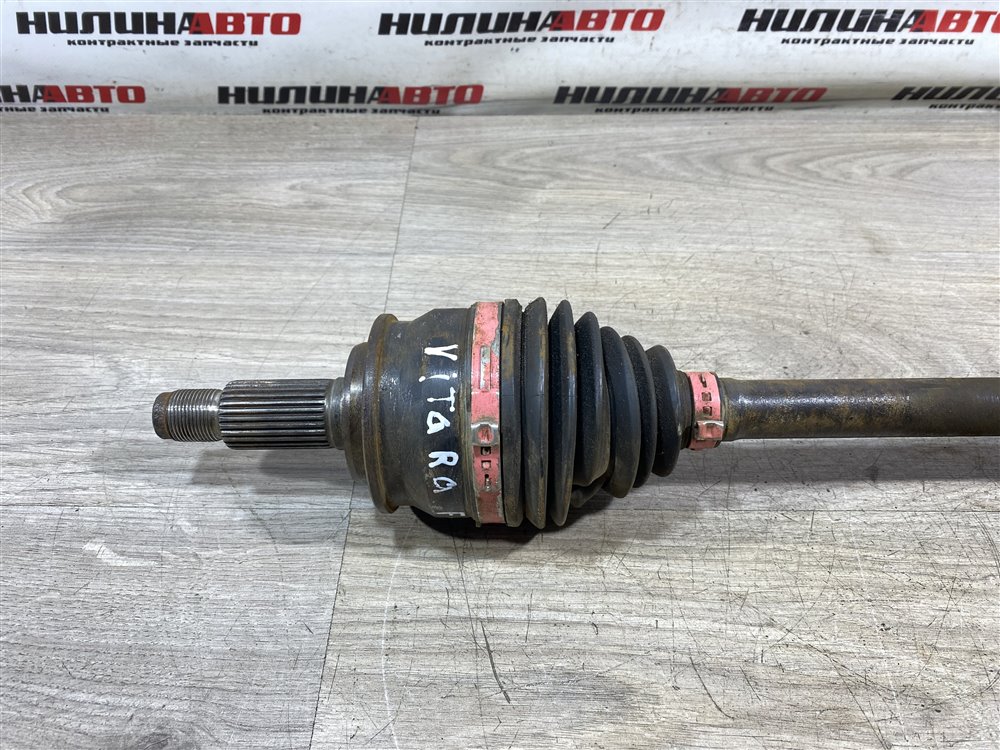 Привод, 10000 рублей, Севастополь