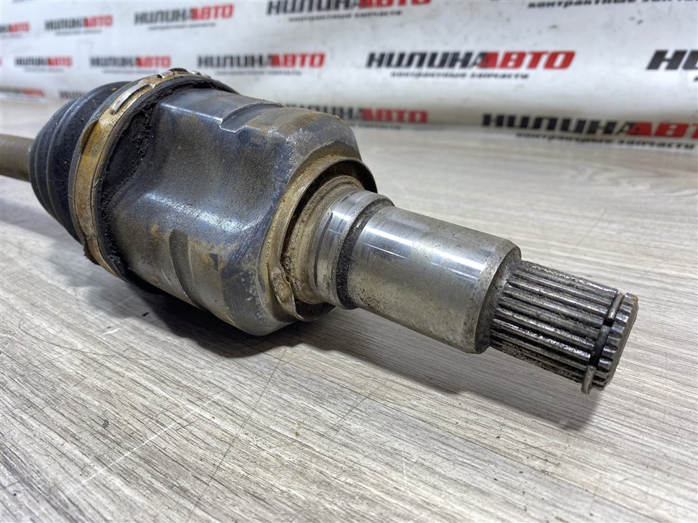 Привод, 10000 рублей, Севастополь