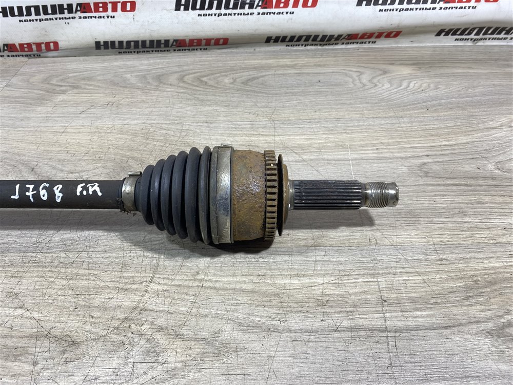 Привод, 5000 рублей, Севастополь