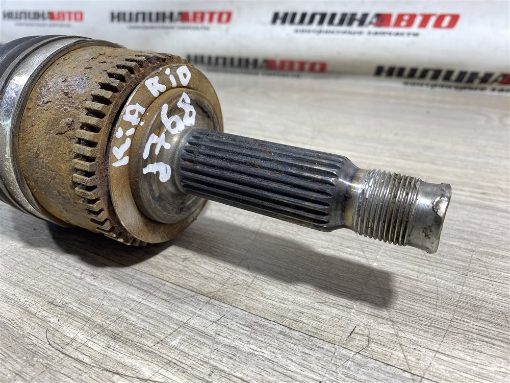 Привод, 5000 рублей, Севастополь