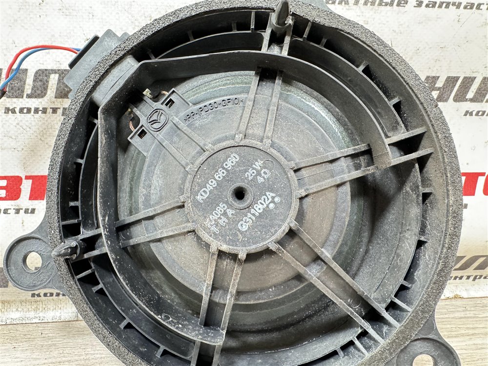 Динамик, 1000 рублей, Севастополь