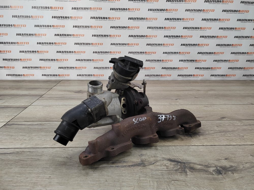 Турбина, 25000 рублей, Москва