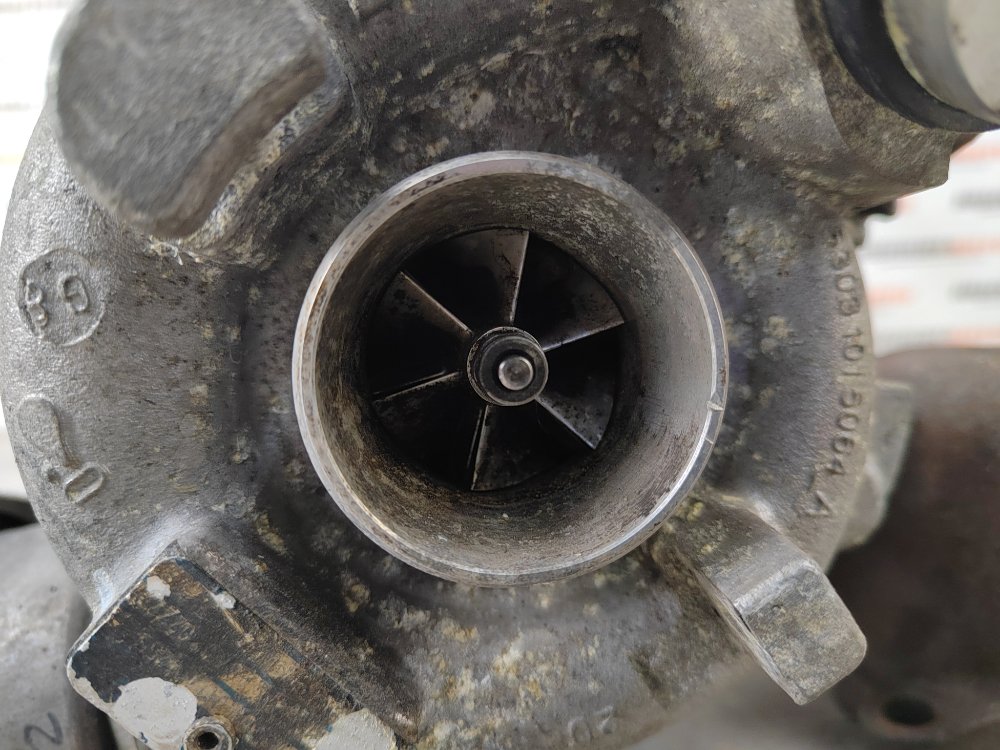 Турбина, 8000 рублей, Москва