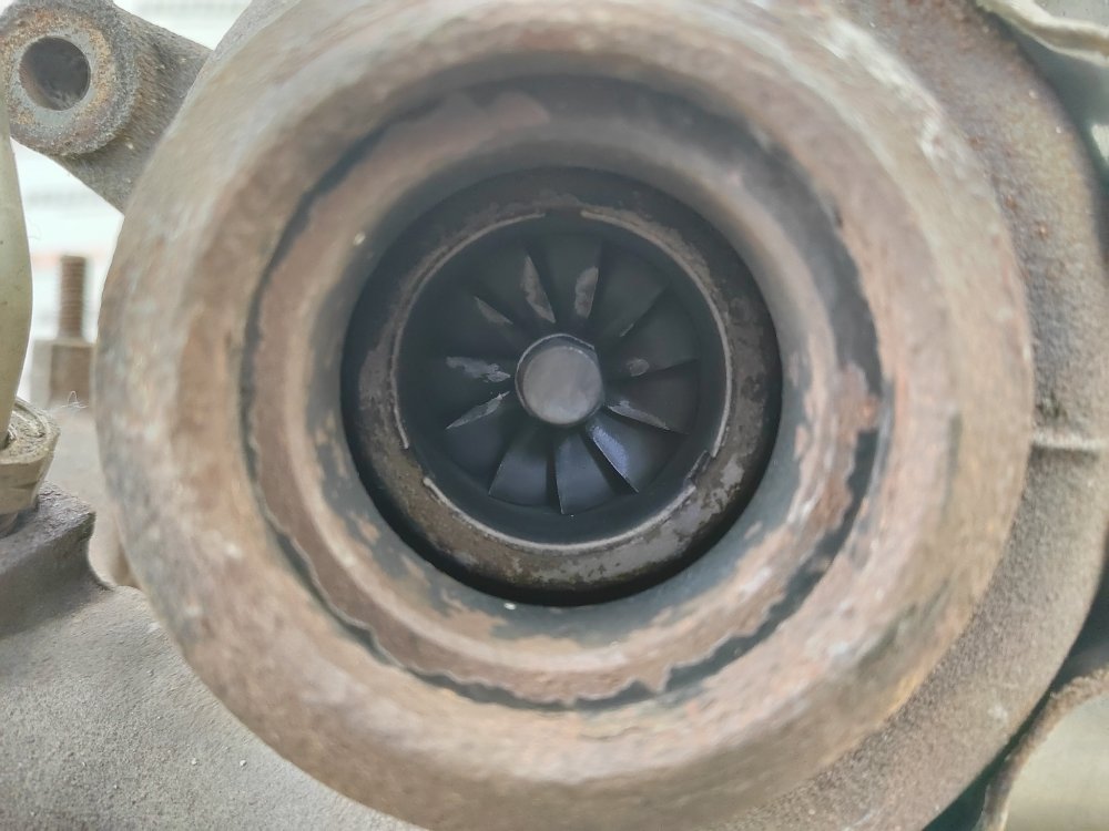 Турбина, 8000 рублей, Москва