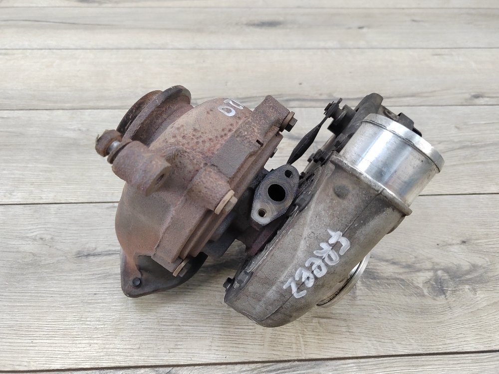 Турбина, 19000 рублей, Москва