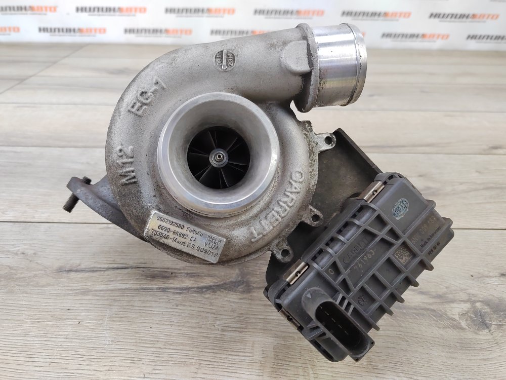 Турбина, 19000 рублей, Москва