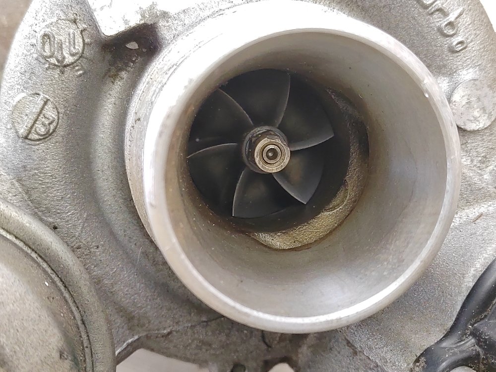 Турбина, 23000 рублей, Москва