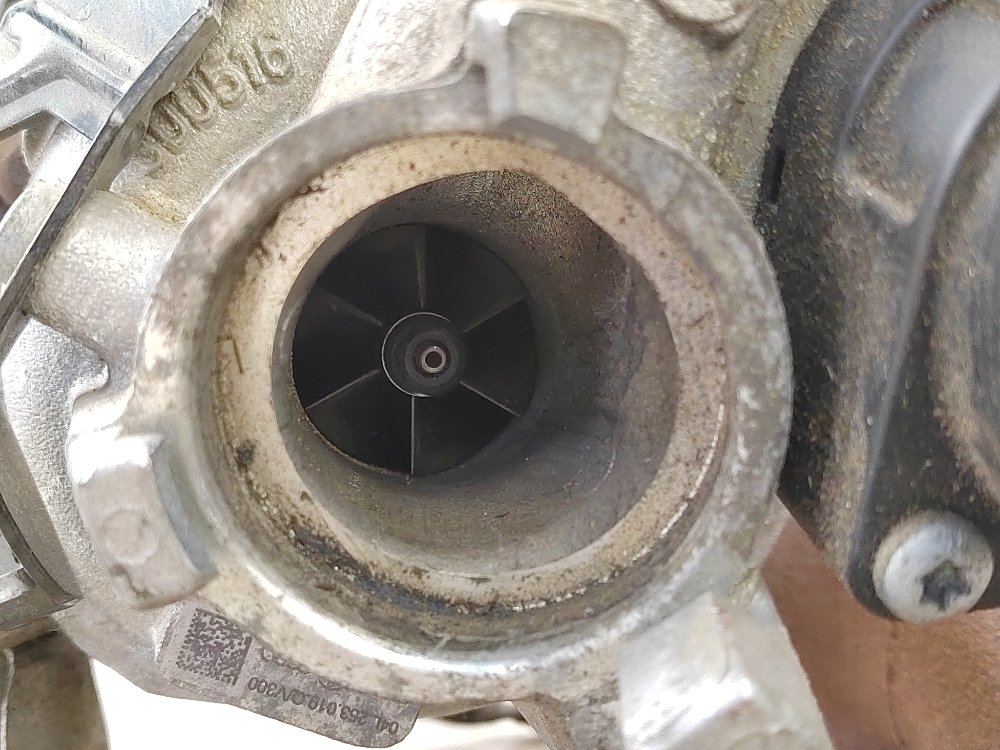 Турбина, 25000 рублей, Москва