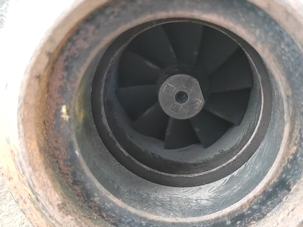 Турбина, 25000 рублей, Москва