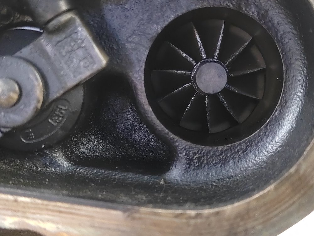 Турбина, 12000 рублей, Москва