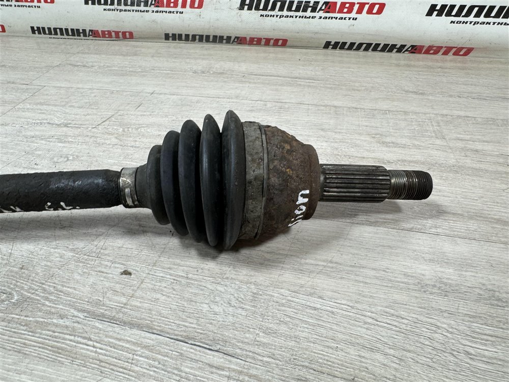 Привод, 2500 рублей, Севастополь