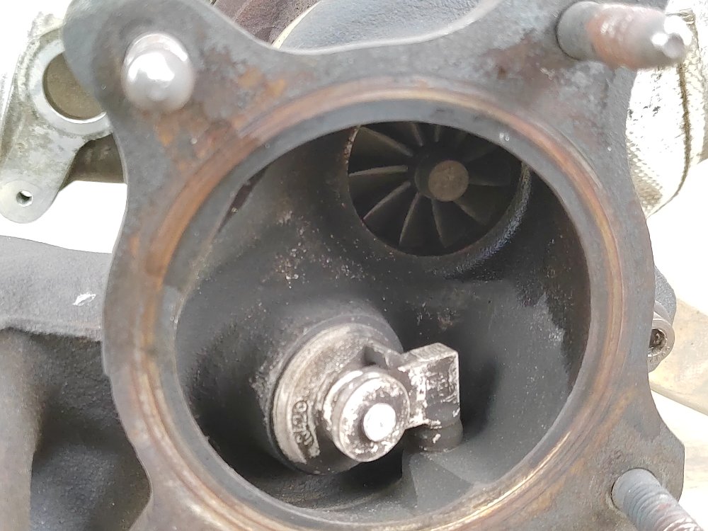 Турбина, 8000 рублей, Москва