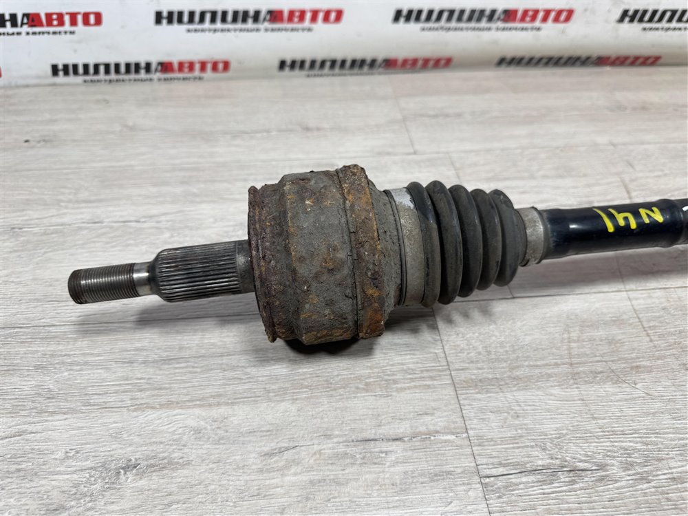 Привод, 2500 рублей, Севастополь