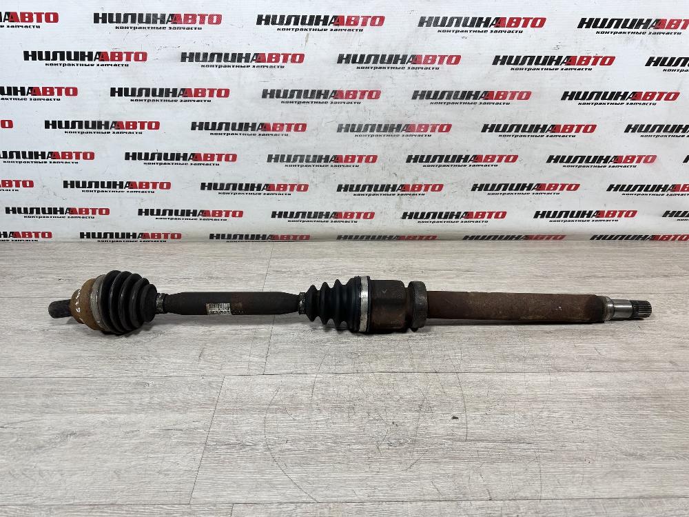 Привод, 8000 рублей, Севастополь