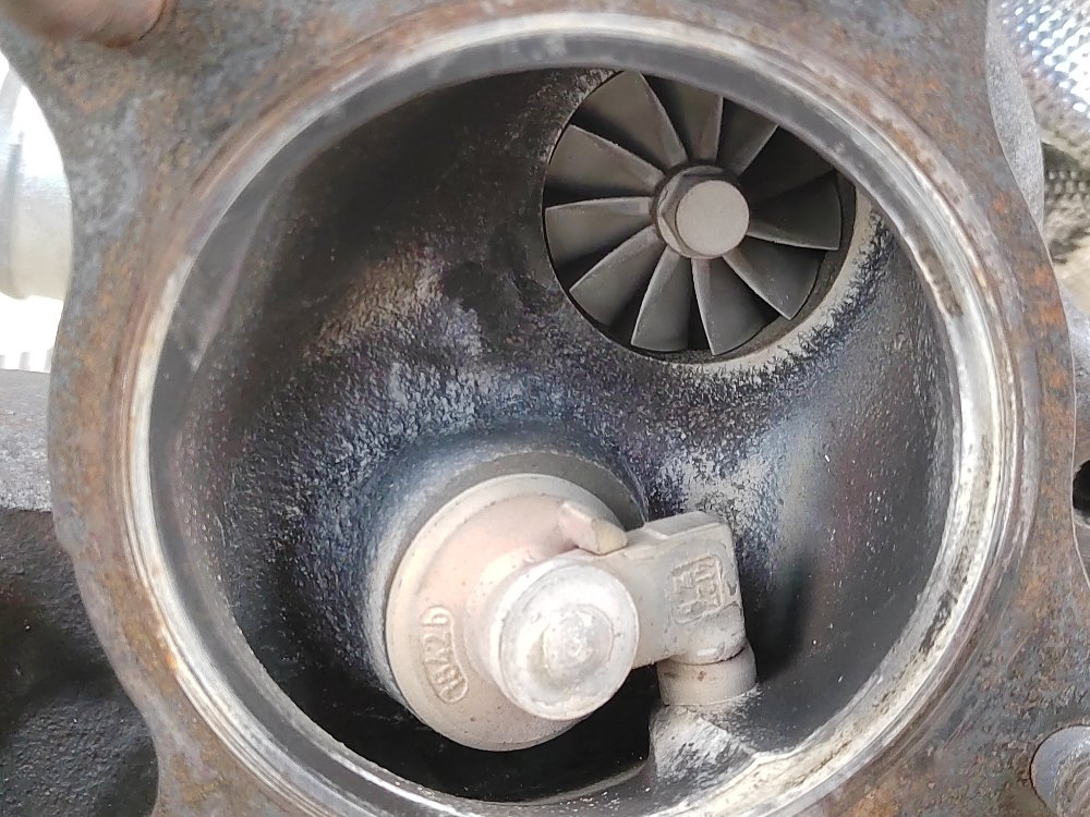 Турбина, 8000 рублей, Москва