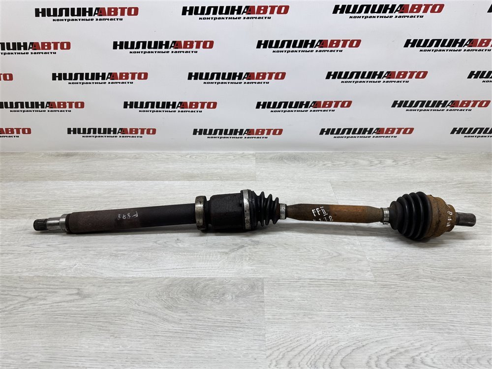 Привод, 8000 рублей, Севастополь