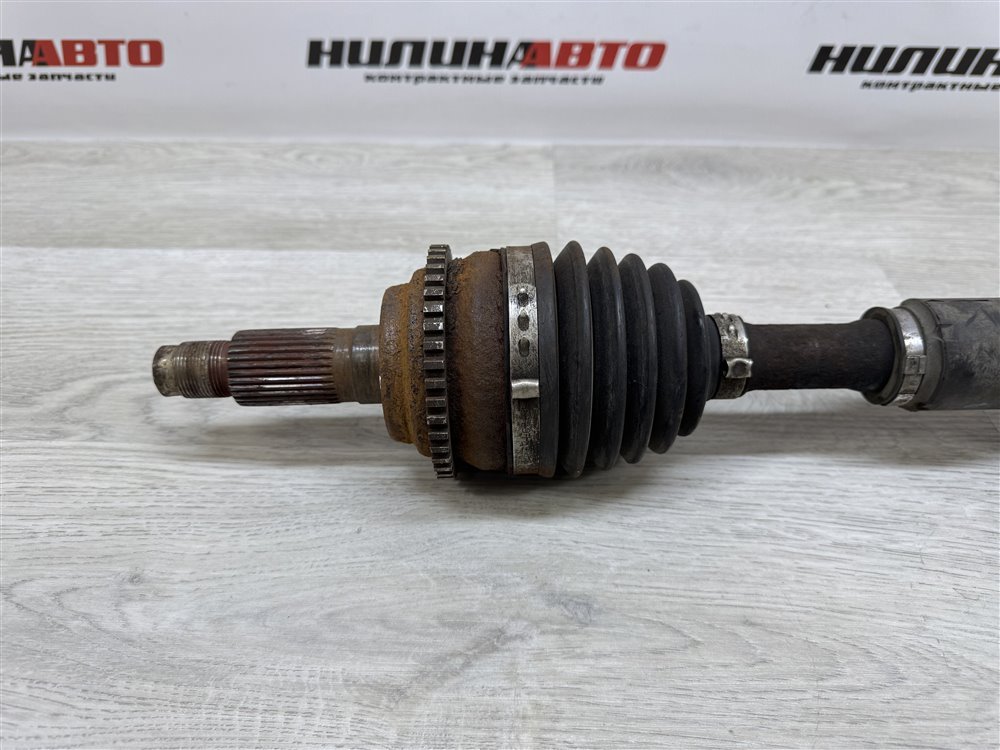 Привод, 6000 рублей, Севастополь