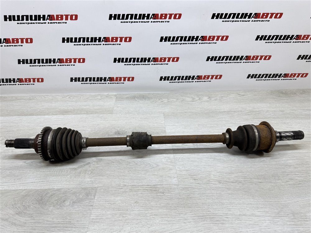 Привод, 5000 рублей, Севастополь