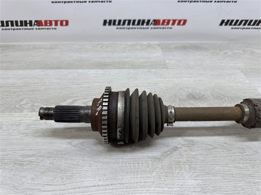 Привод, 5000 рублей, Севастополь