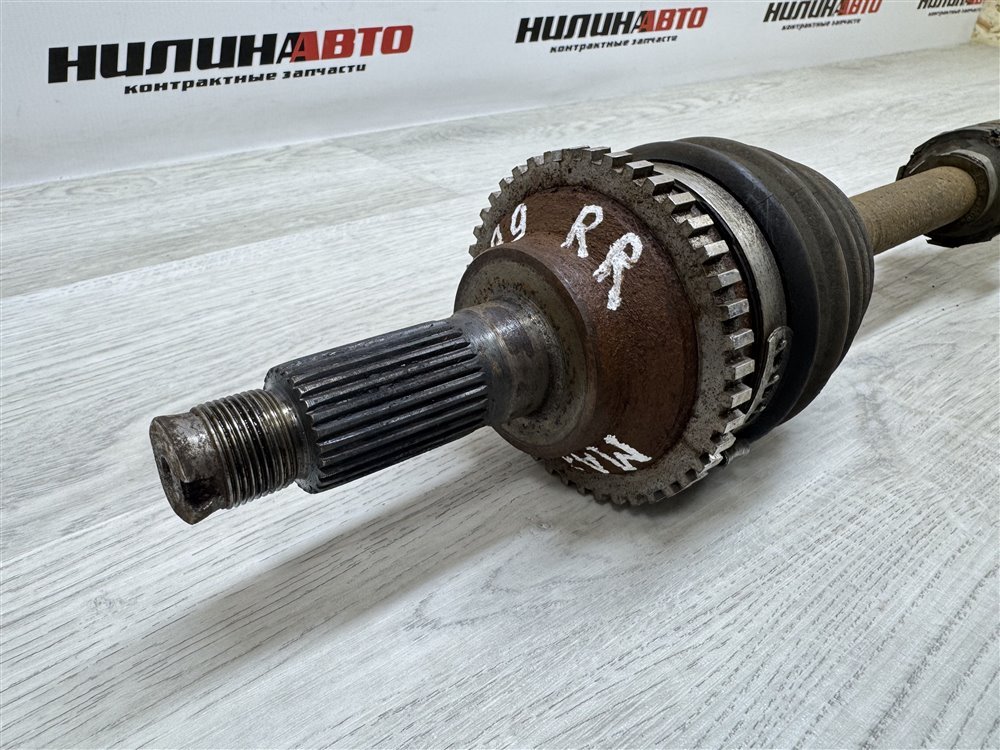 Привод, 5000 рублей, Севастополь