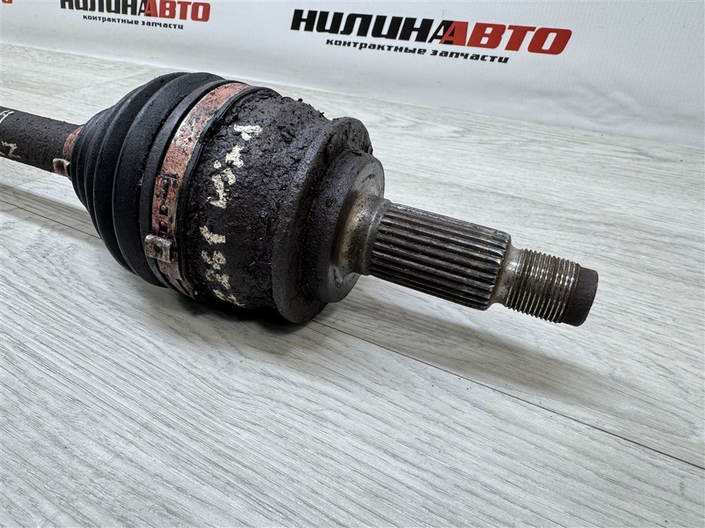 Привод, 1500 рублей, Севастополь