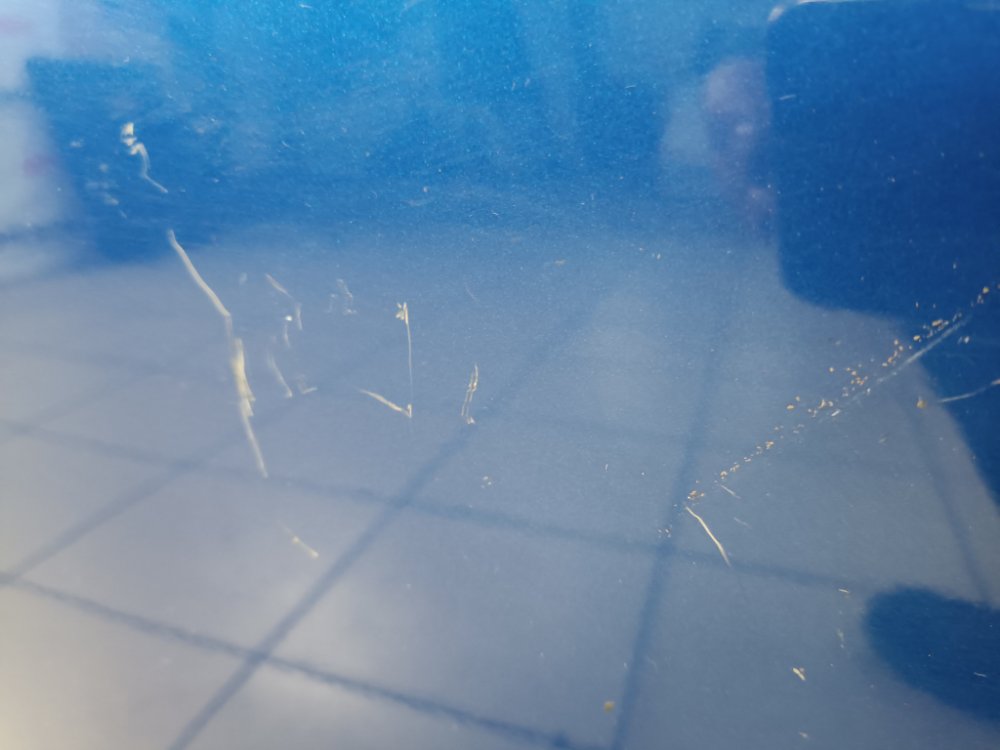 Дверь, 7000 рублей, Москва