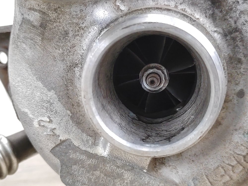 Турбина, 4500 рублей, Москва