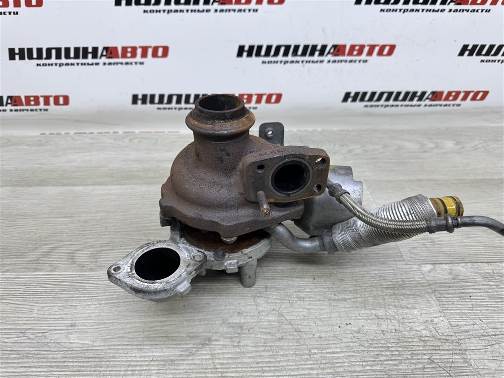 Турбина, 12000 рублей, Севастополь