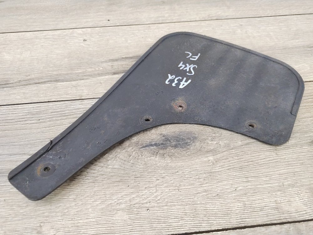 Брызговик, 1000 рублей, Москва