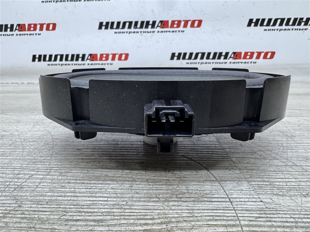 Динамик, 1000 рублей, Севастополь