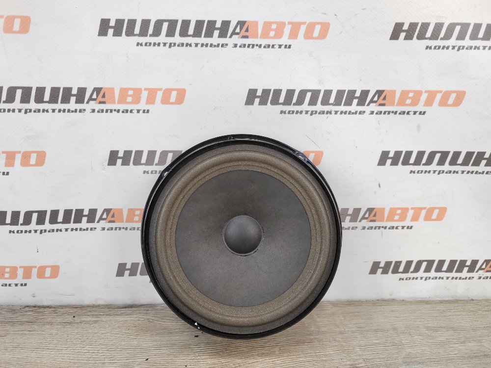 Динамик, 1000 рублей, Москва