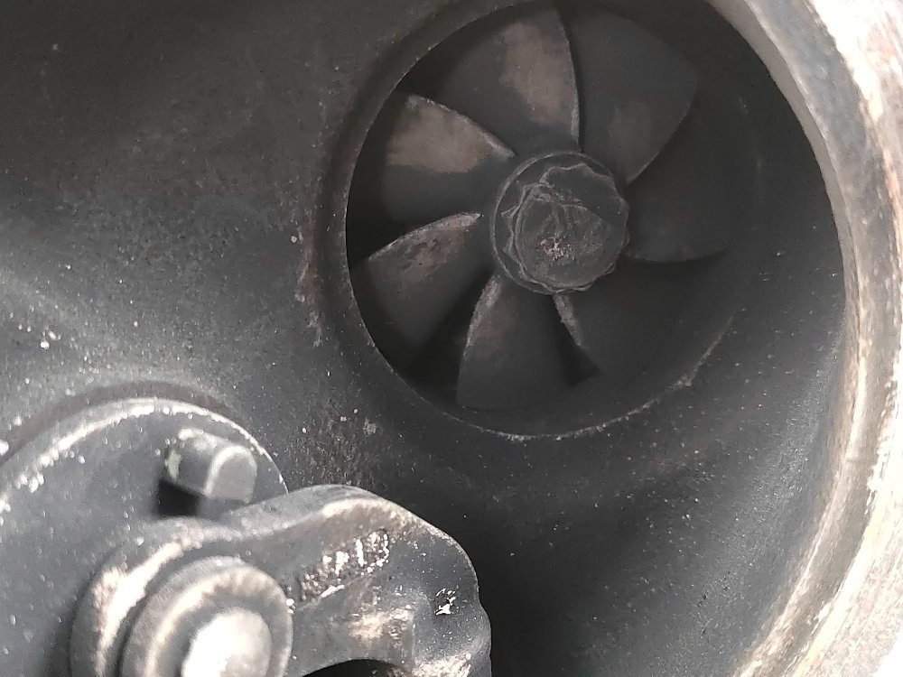 Турбина, 19000 рублей, Москва