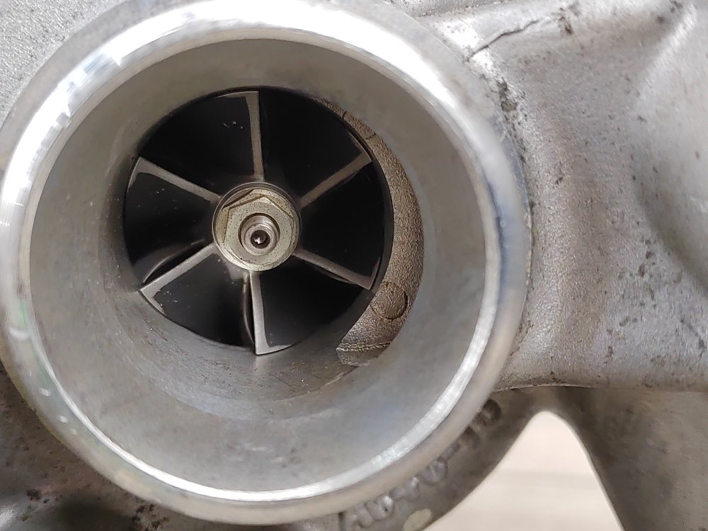 Турбина, 13000 рублей, Москва