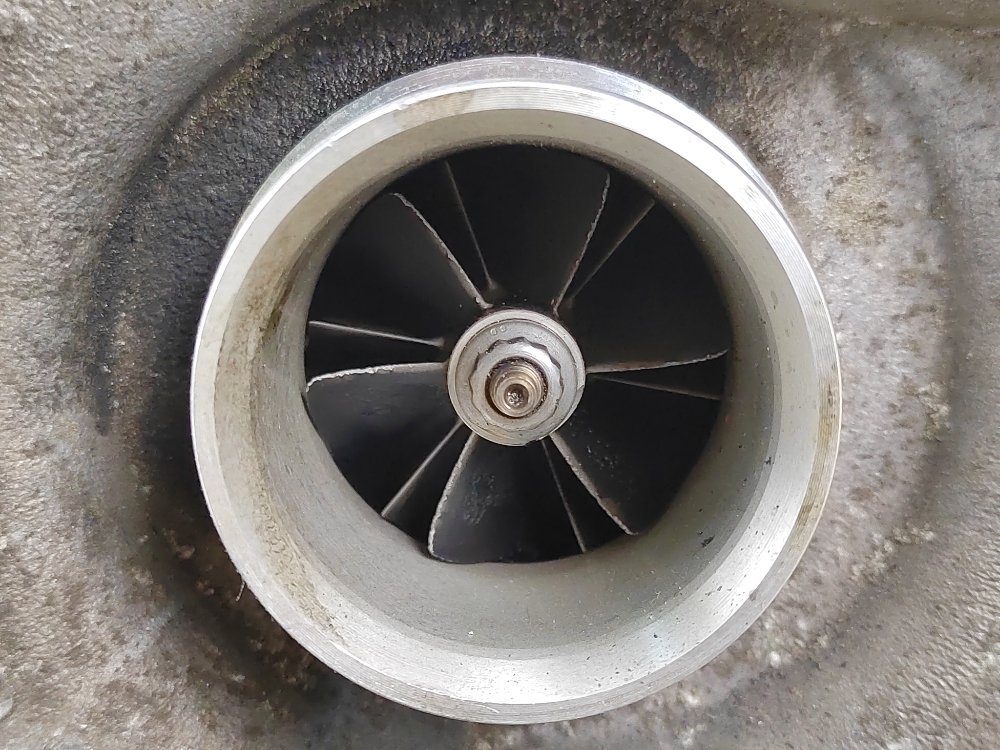 Турбина, 25000 рублей, Москва