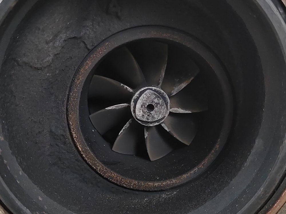 Турбина, 25000 рублей, Москва