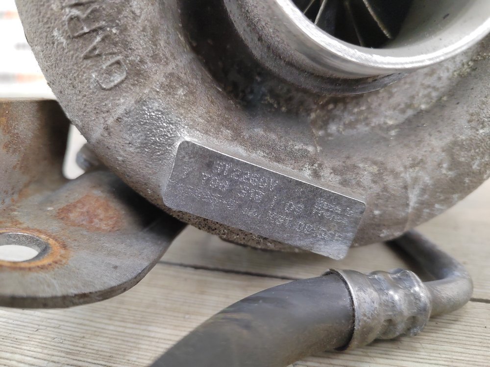 Турбина, 25000 рублей, Москва